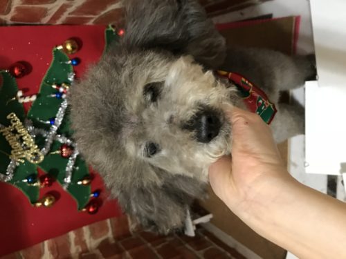 a3a9f2b1-8508-4fe7-a1d0-f7eb14612067