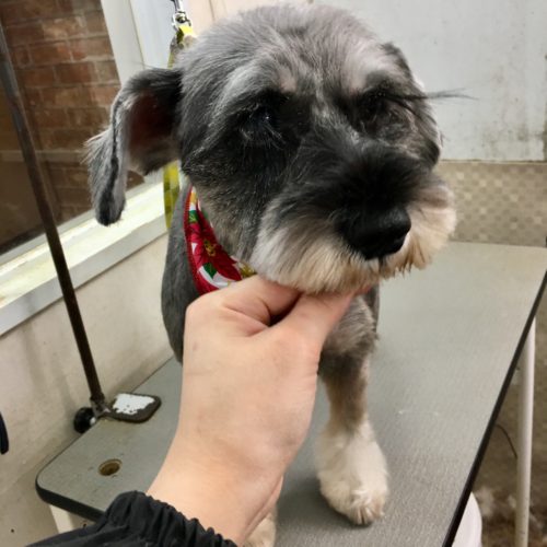 a5a0d9f1-7415-4b1d-9b2b-f9e8a5c8e6da