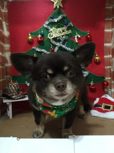 a904d64b-05a2-4896-828c-4994ef3fd3fc