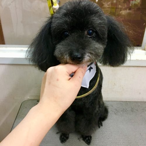 abf84d46-0a4f-41f3-bf62-68e0136b6726