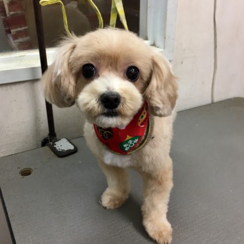 aed8582c-d01f-4d4a-b016-67fd2051610e