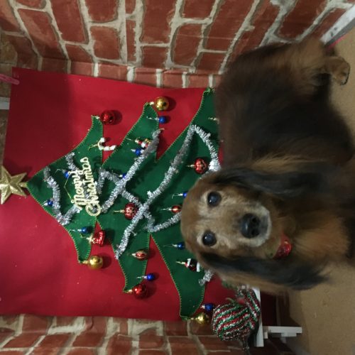 b3a5baaa-af36-4e7e-afce-8e8a300fb6fe