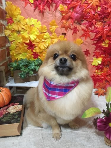 b4e7033d-b061-4704-8d1e-66924166c8e2