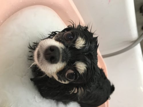 b5ec8d74-355f-44dc-942b-1c8e8062cf3e