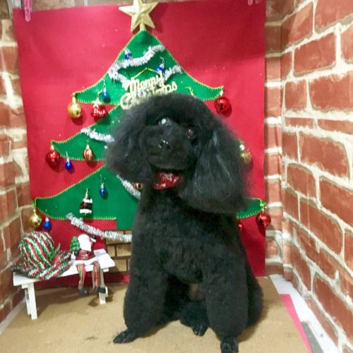 b68bb15d-0005-4d28-a39f-427c63e01a6e