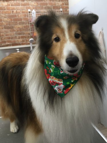 bd672c9d-f1b8-4267-96da-e5bc553a0fee