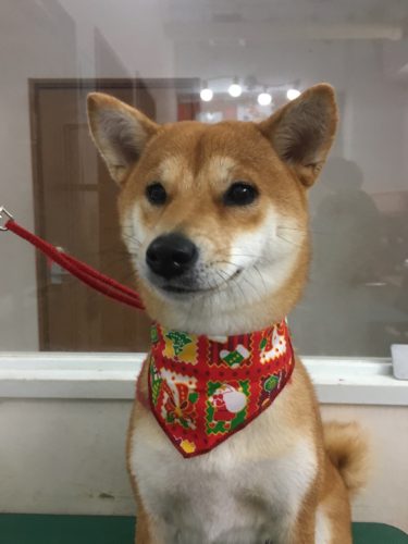 c00766e9-9741-4f4f-904c-197e91500686