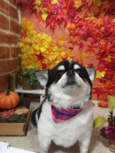 c4c3573f-ef7d-45bc-86c6-e2381eee6976