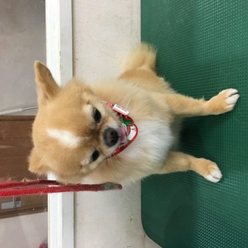 c5ff63ff-33ac-49eb-bcbd-8091e5dfd1e9