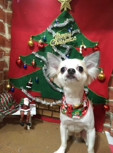 c86ecf8c-f654-4ab5-980c-8ae94212d757