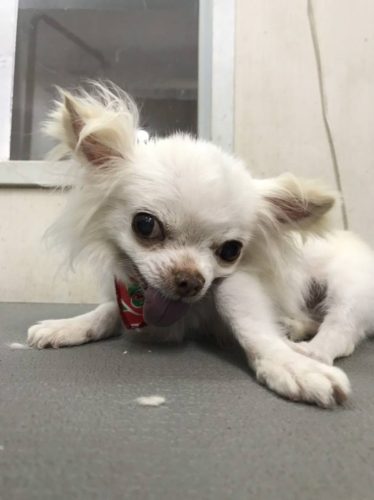 e03ec41c-afa5-48e9-8bc5-80c3582f4ce9