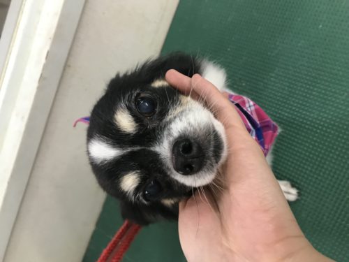 e30529d6-3eab-43f6-8195-c1cbecdb1d79