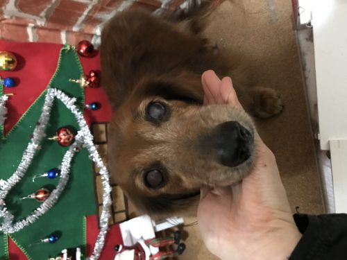 e76f5c84-4023-42bd-8472-328633ee89c6