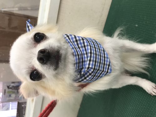 e77d32d0-c3d1-430a-ab1d-f97f3384c753