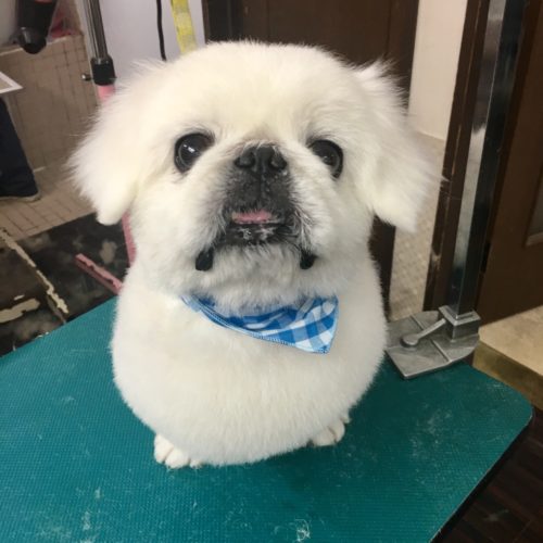 e7dfc1d0-cdc6-474f-8386-55242ed281b3