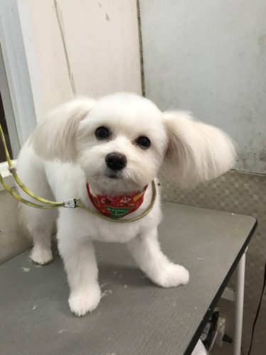 e9cdc999-39bf-4e48-8518-e6ca039406f6