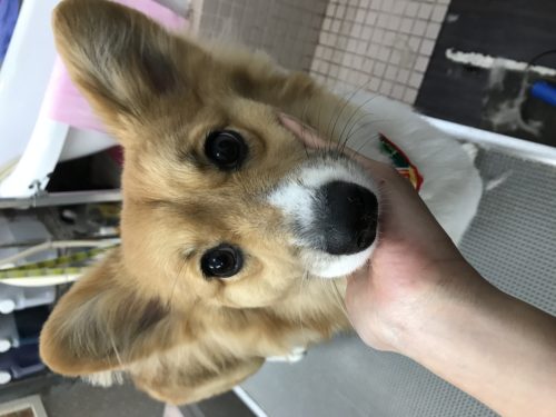 ed4e8aac-4af2-4087-81e0-831bb945a076