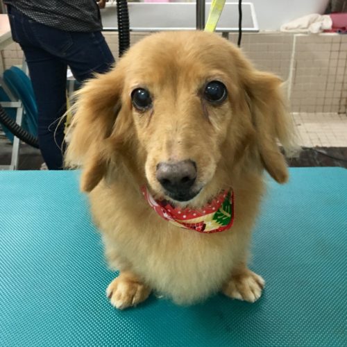 eedda97f-e342-432c-9d25-08f87ba5d2f5