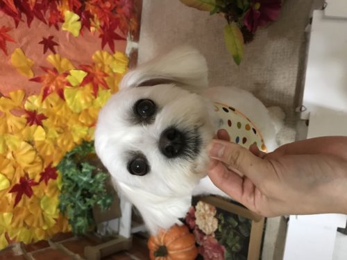 ef6f9270-e747-4198-867a-b448f362be58