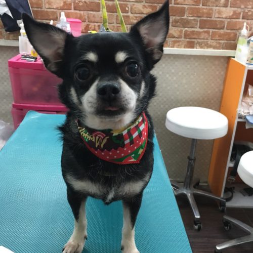 f10e0327-b6d0-4b2a-898a-2d10723d608e