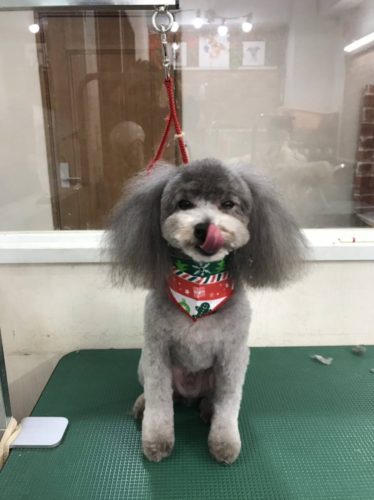 f864140d-de33-4208-bd8b-ed7400b0784d