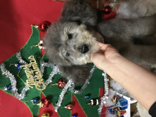 00bbf0b1-4f2e-4697-8fa6-3d578faf22ef