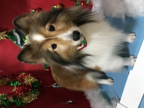 2bed2981-bff0-43f7-b08b-d5832ea8b634