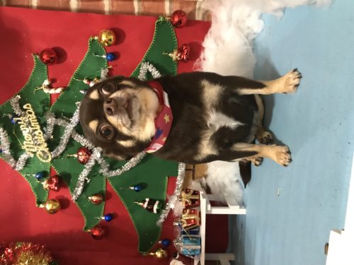 2fc8c1d7-1710-4c68-8618-6ba882091534