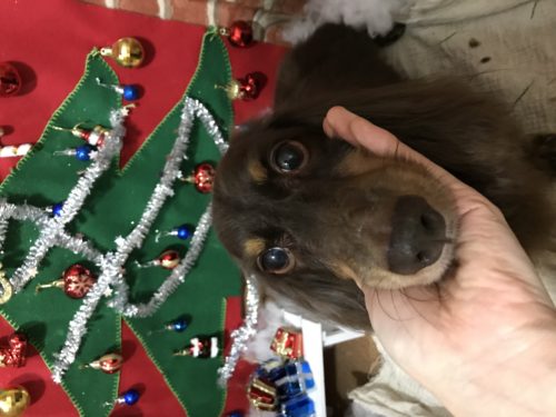 34e43079-747e-4c8f-981d-be20013fdfc7