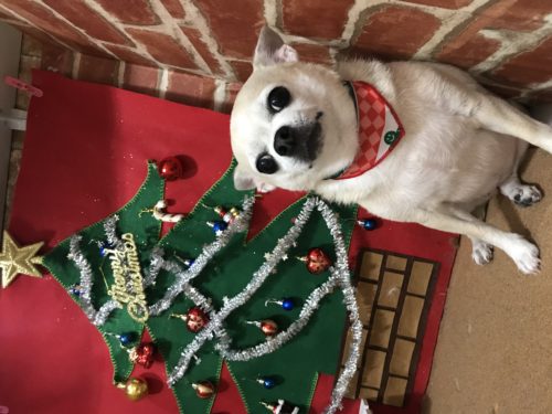 838fb08b-e856-4c88-ac57-b4531f4a3257