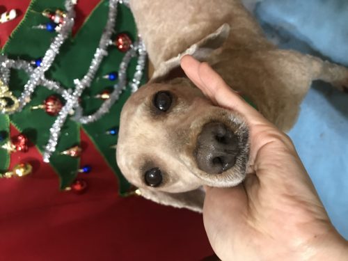 8485317f-4bdf-4447-91b7-15783ee5de7d