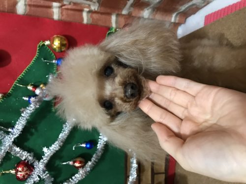 ab4f79ed-8841-4eaf-b269-dd7aa0351a2b