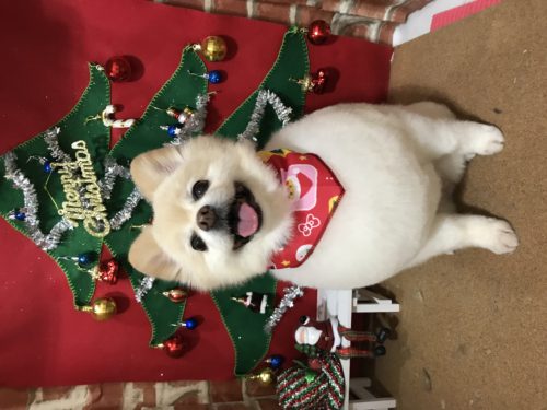 c60a90fe-2d10-41e3-a044-d4a4413e56c4