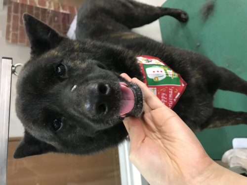 ddfef6e5-912c-47da-bdf5-dfc63b12ee92