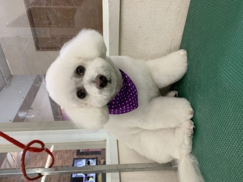 47e2f967-1c7e-4999-837f-0ba8217005f8