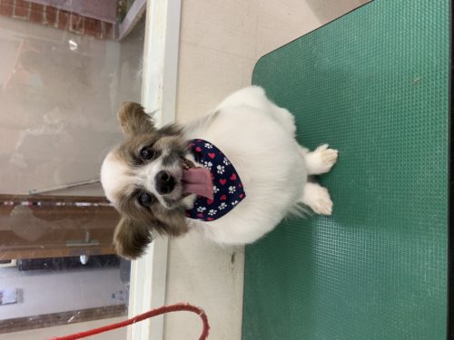 4c251a3f-2fb9-45f5-bca1-330555a5d968