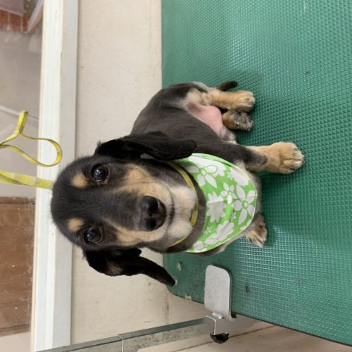 5c1d4caf-88cc-4ac5-96c6-8971f9135a09