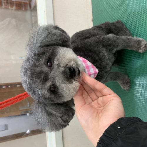 64550701-0348-4886-8acd-2ace598c95a1