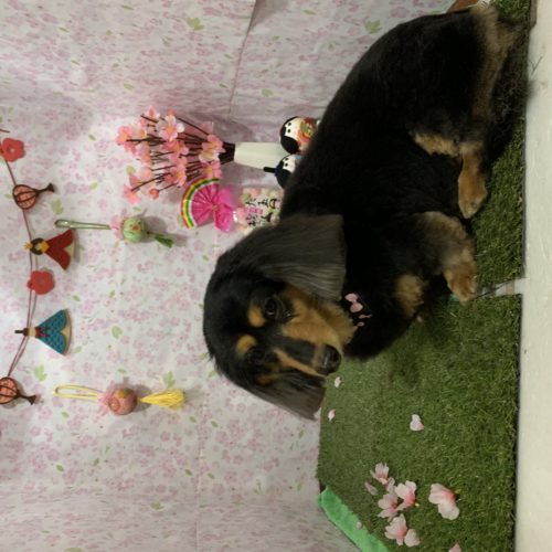 818658bb-83cc-41d6-a63f-137433f51cac