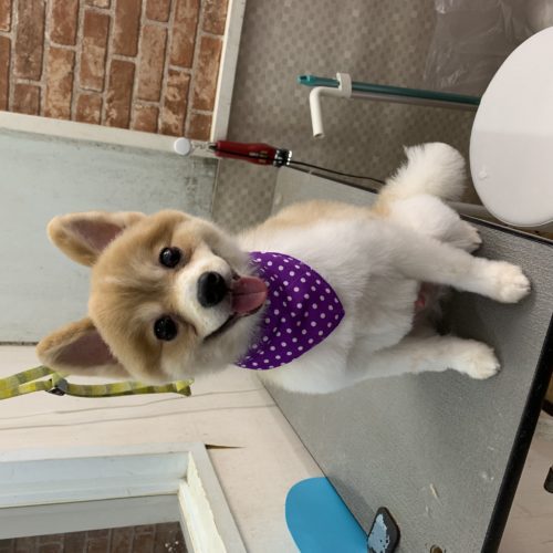 bc4d02e4-0636-4623-9ec9-1ff21505f67b