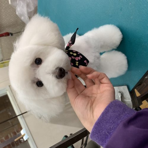 d67596ad-f951-4835-bac7-f9ffd7a70b6b