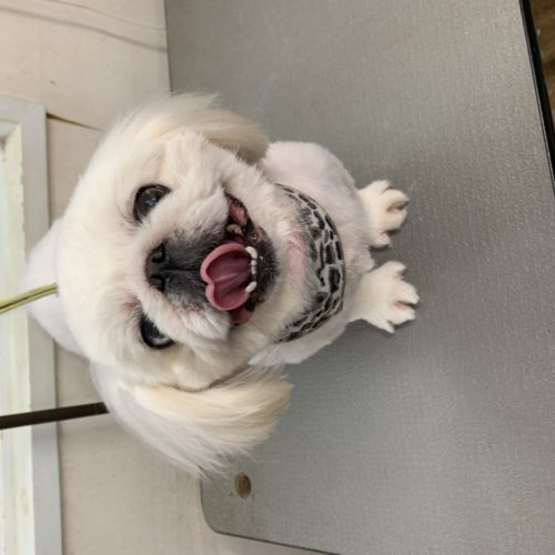 ee3db210-c34f-4c50-b031-c5ba619778ea