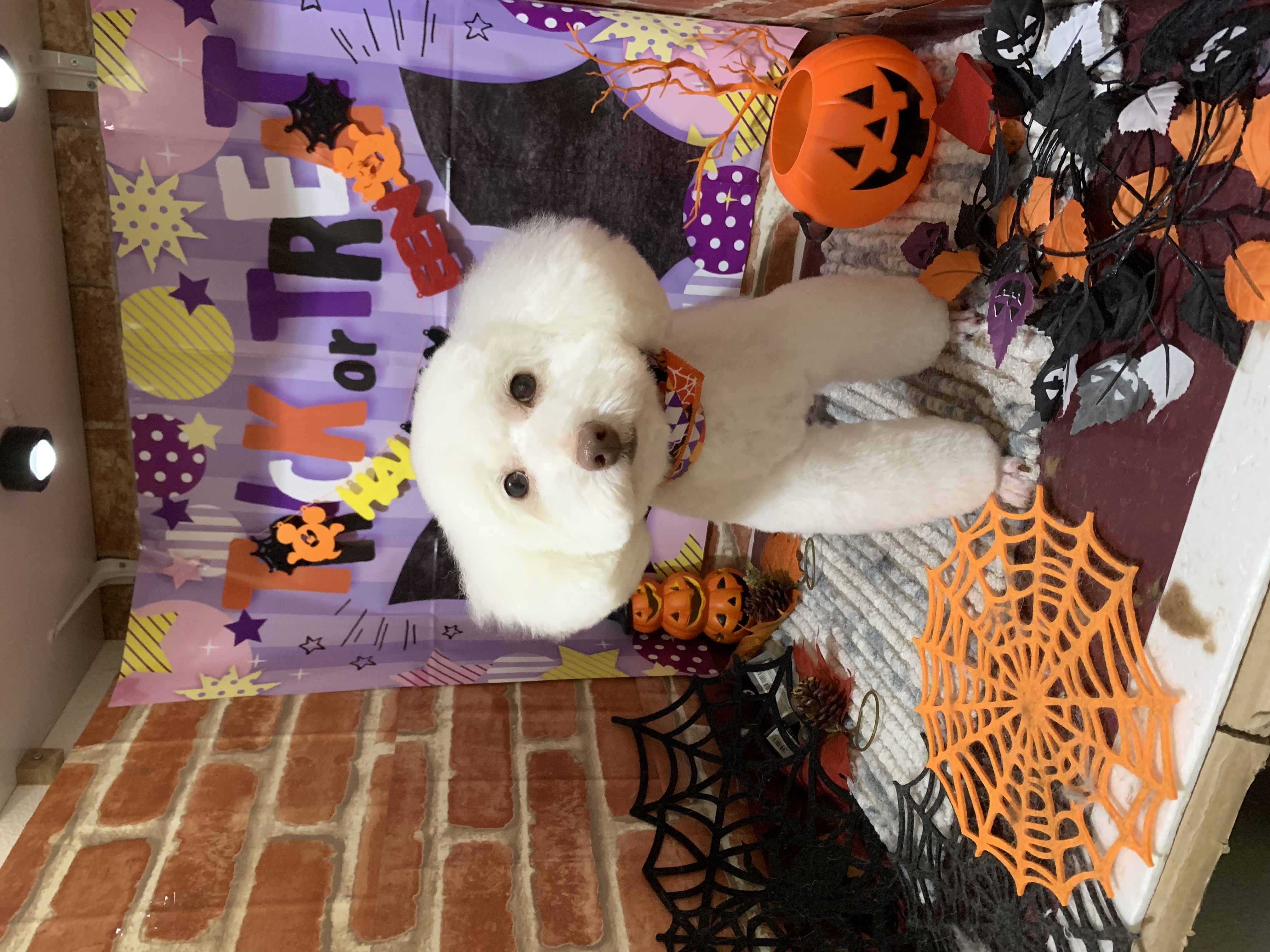 05aa040d-cf1d-4c61-94ca-b70c4600ad7f