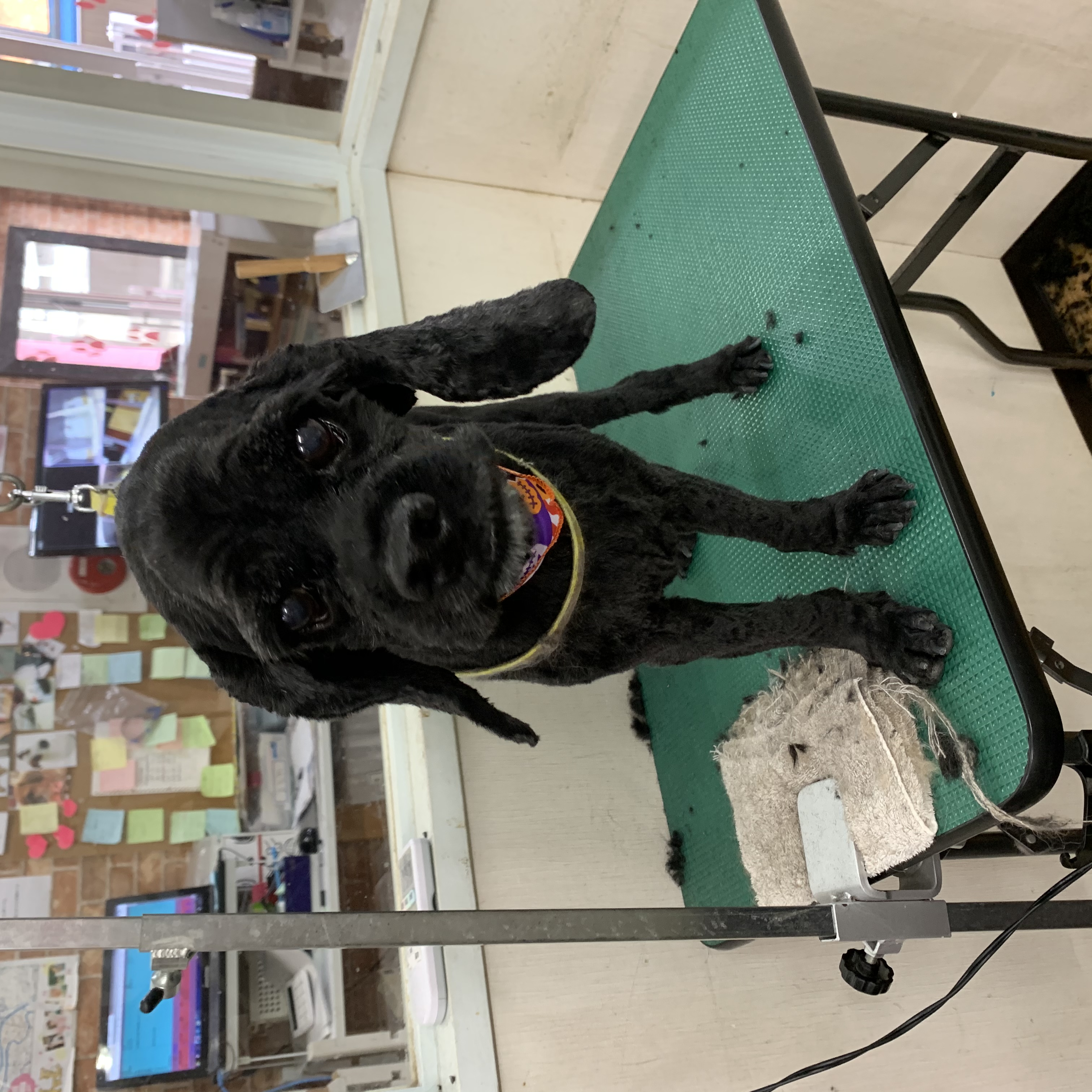 06099701-9cd4-459d-aac4-a9a6f12bac3d