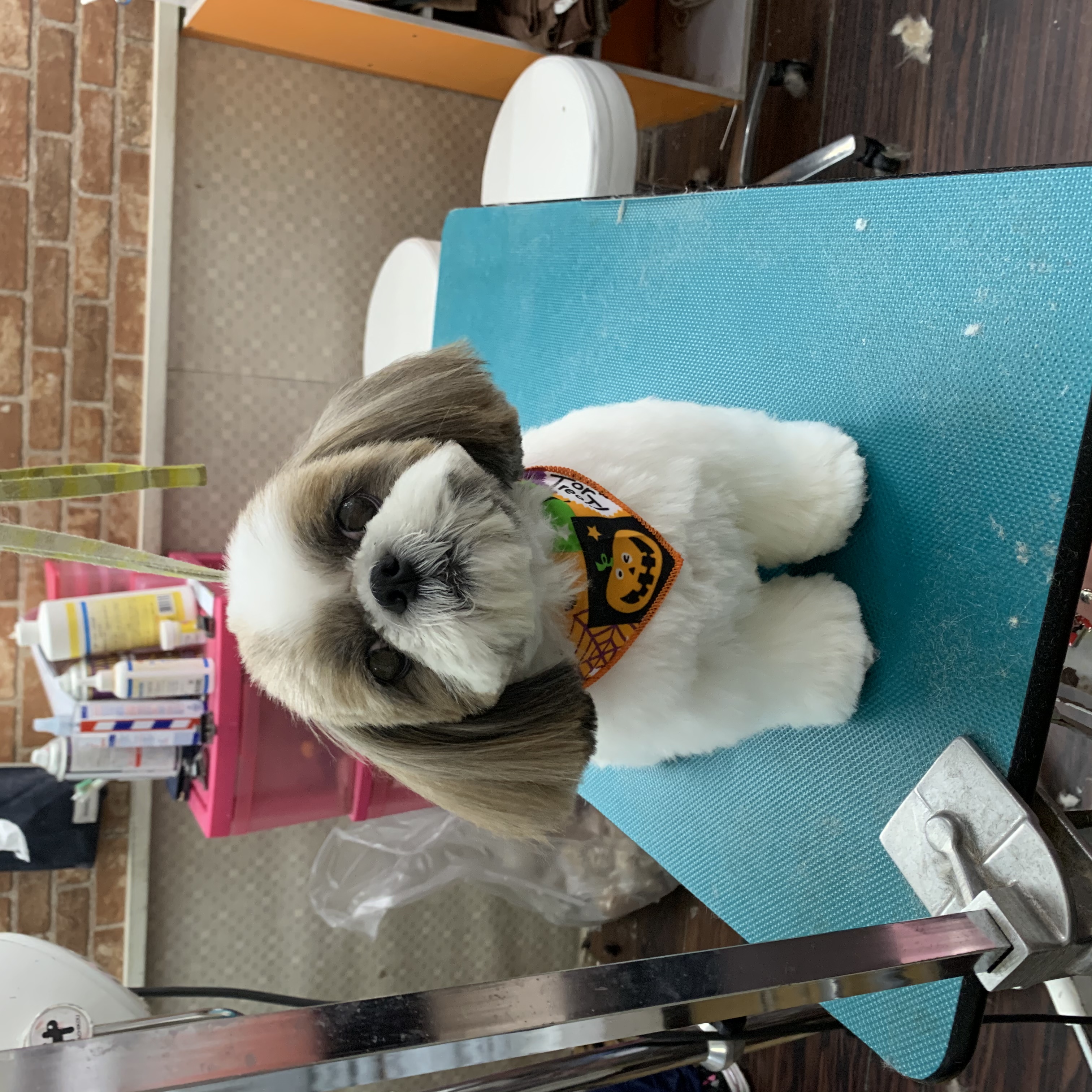 1df8bf21-3a1f-482c-9cb1-ebc250c359f3