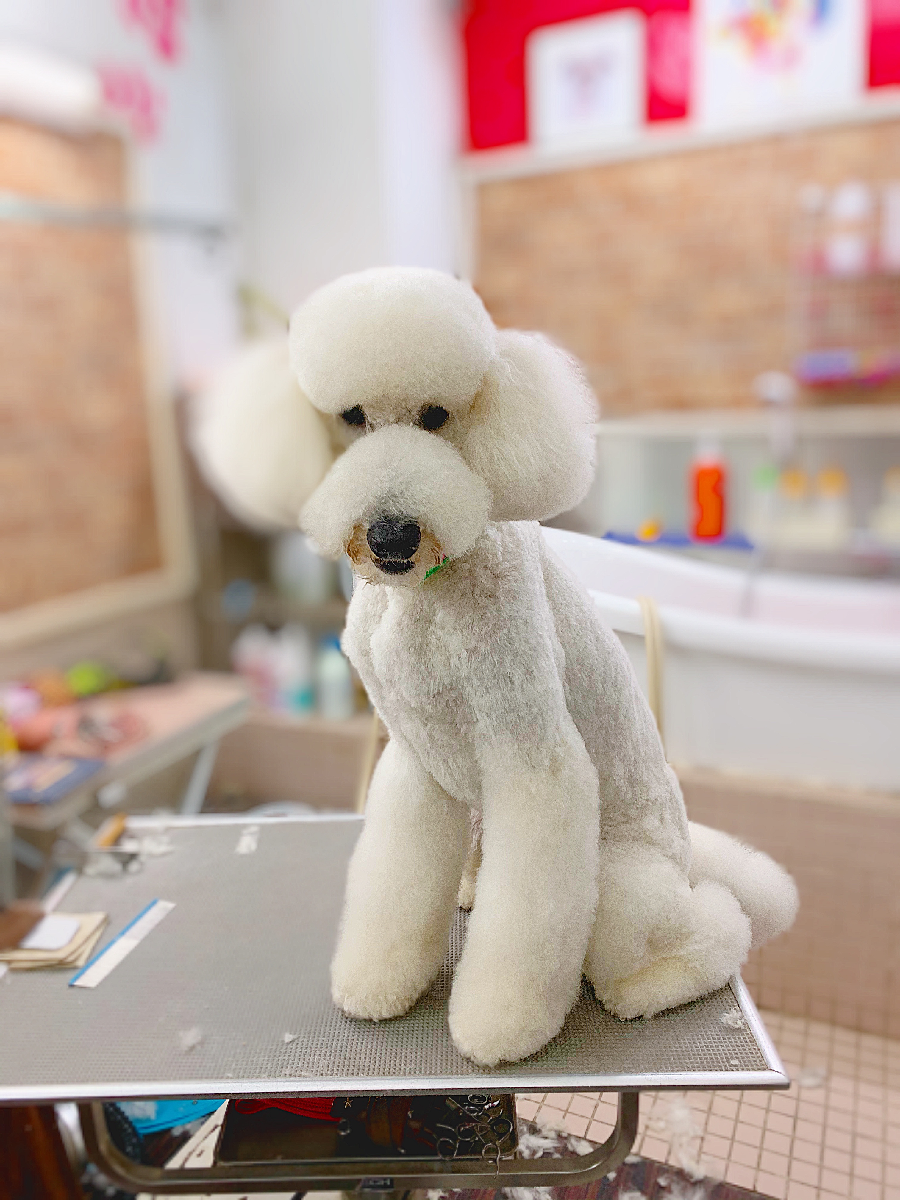 2cee0f91-7ec8-4d9e-a862-6b57a0258ed2