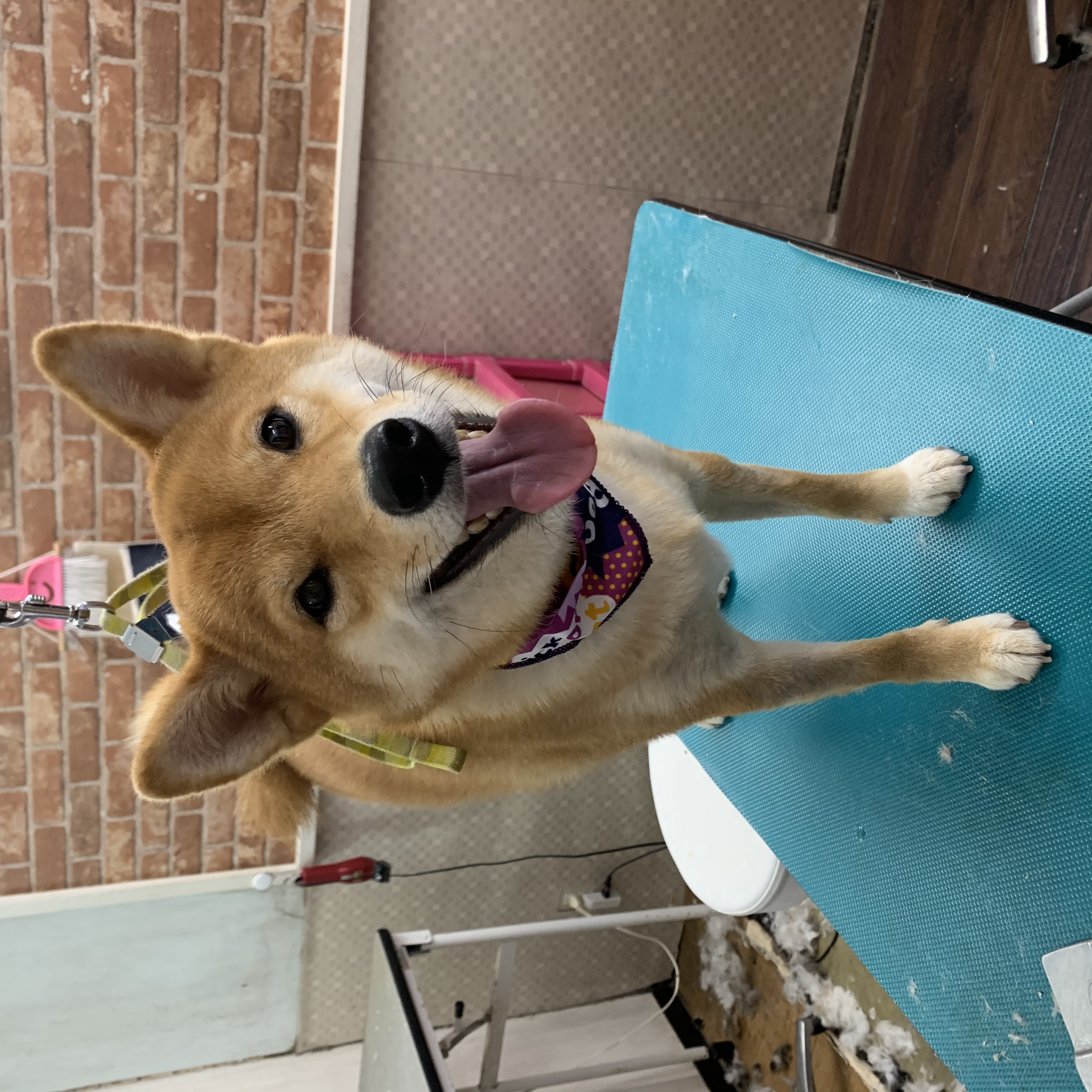 4095ffe0-b26c-468b-b659-967accba50de