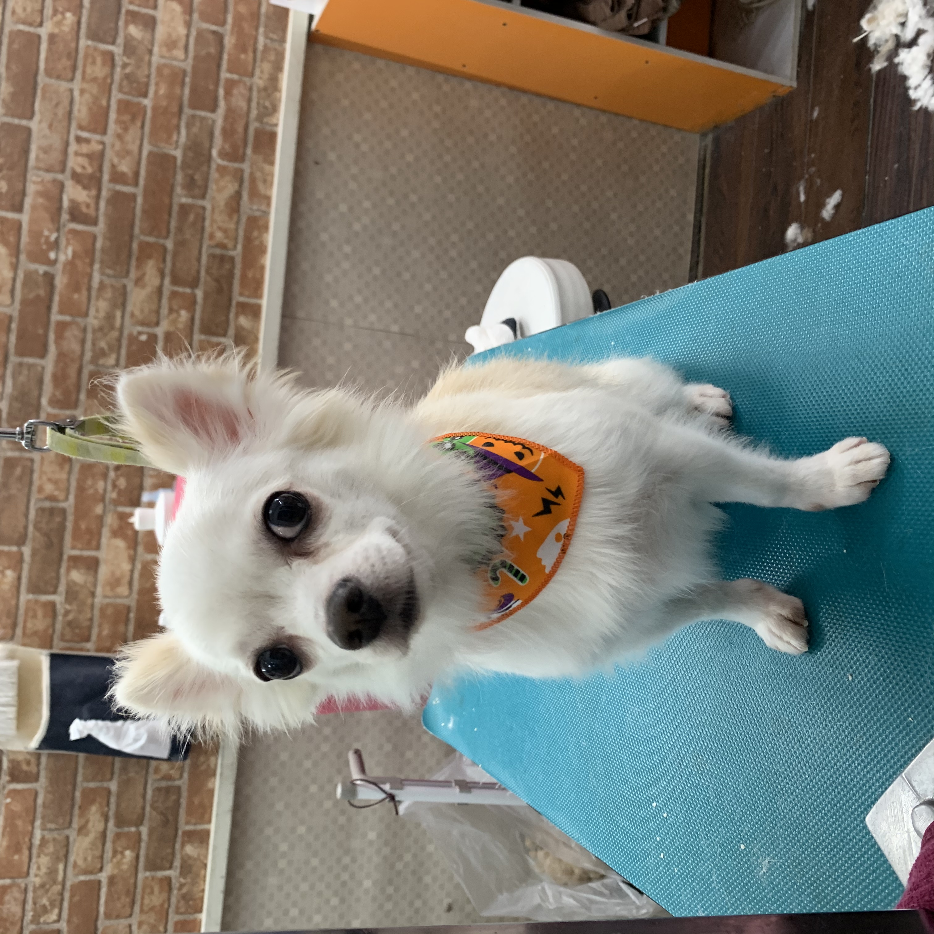 563678ec-9a38-4a52-8702-1f65d85c3af1