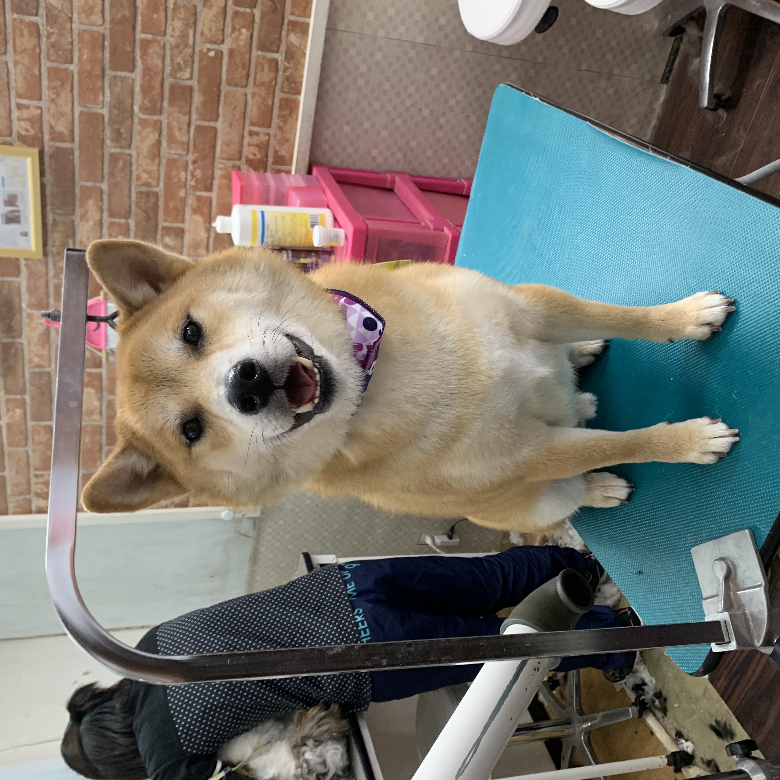 8cd26486-9b57-4816-b088-38820a602a27