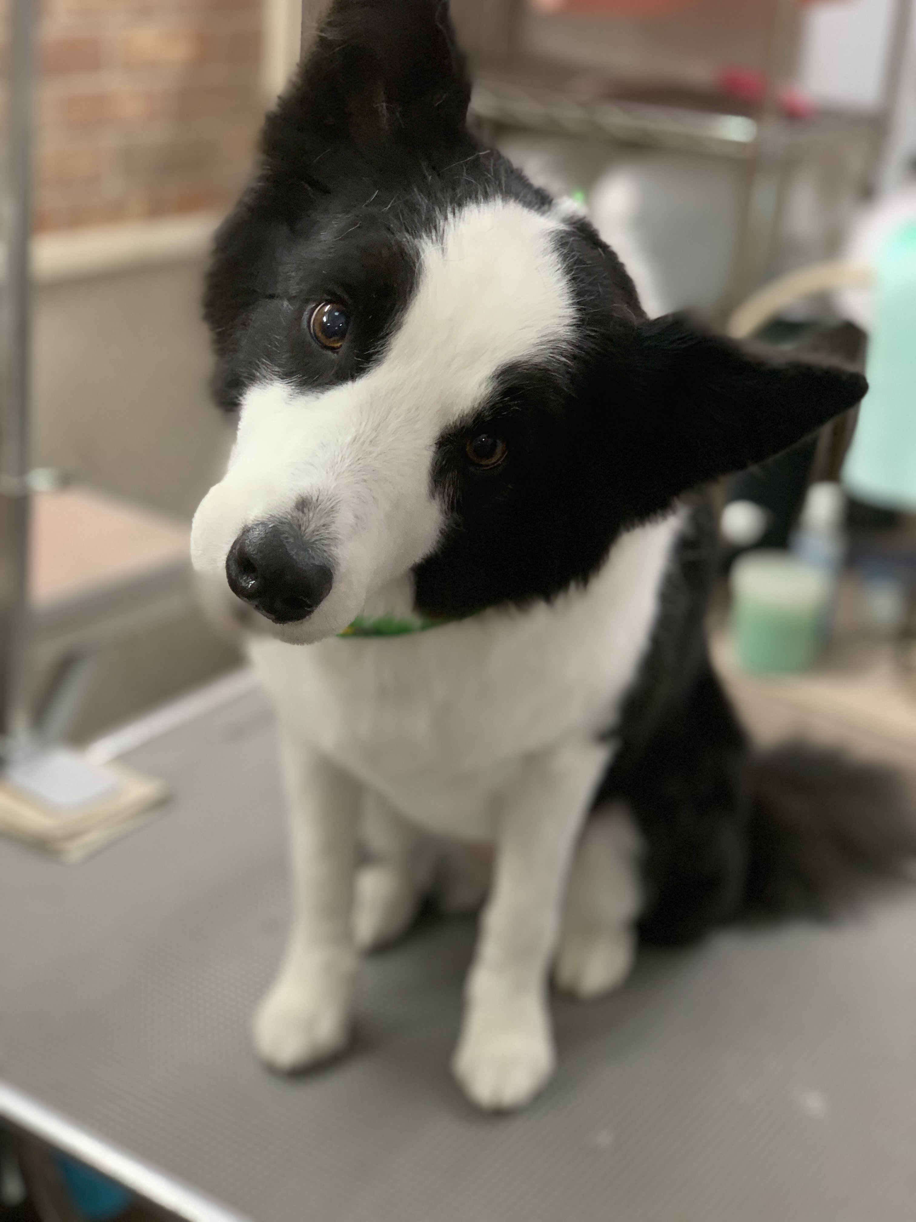 b9df55af-684b-4202-97ee-ac050ae7aa76